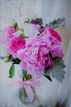 pink rose (2).jpg
